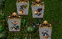 Ultima online - Олмер онлайн "Treasure hunter pack"