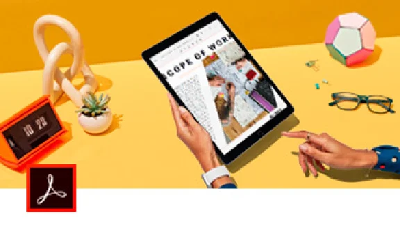 Adobe Creative Cloud Full App 2020 1 Year Subscription