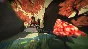 TRI: Of Friendship and Madness  (Steam Key/Region Free)