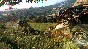 Dying Light The Following💎STEAM KEY СТИМ КЛЮЧ ЛИЦЕНЗИЯ
