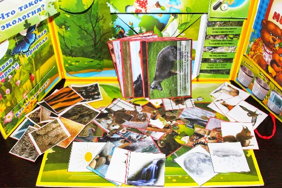 Lаpbооk "Ecology"