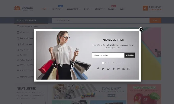 Template for online store BigSale