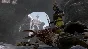 Overgrowth (GLOBAL/STEAM 🔑) + BONUS