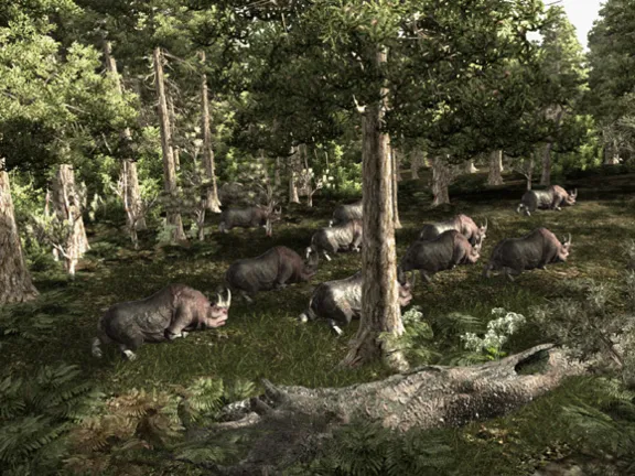 Gothic III (3) - Steam Key Region Free