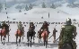 ✅Mount & Blade: Warband (Steam Key / RU+CIS) 💳0%