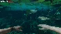Green Hell (Steam key) ✅ REGION FREE/GLOBAL + Бонус 🎁