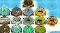 Circle Empires Rivals Forces of Nature (steam) -- RU