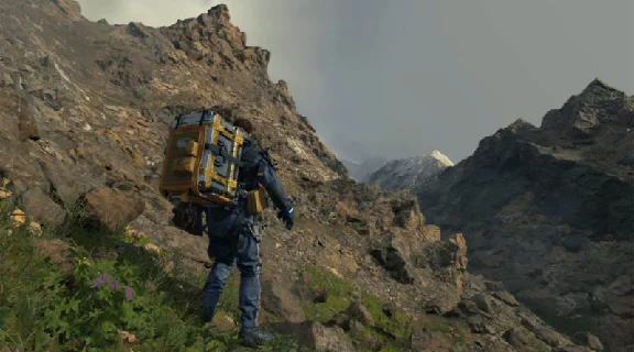 DEATH STRANDING STEAM PC + DLC - PRE ORDER OFFLINE ❤️🎮