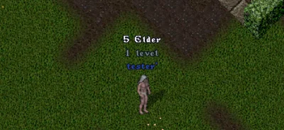 Ultima online - Олмер онлайн "Worldstone pack"