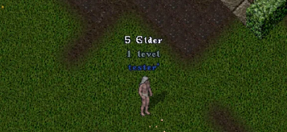 Ultima online - Olmer online "Worldstone pack"