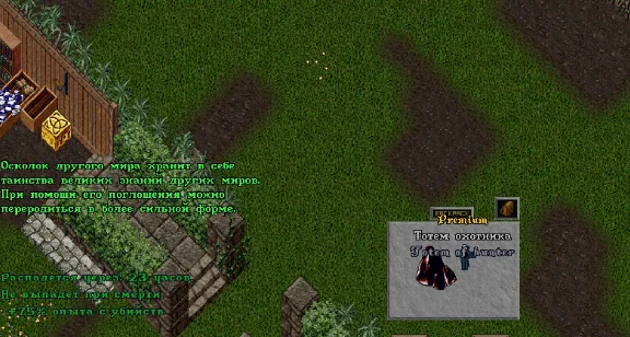 Ultima online - Olmer online "Worldstone pack"