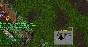 Ultima online - Olmer online "Worldstone pack"
