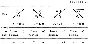 Solution C1-50 (Figure C1.5 condition 0 SM Targ 1988)
