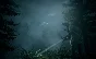 Alan Wake (Steam key) @ Region free