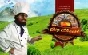 Age of Wonders Planetfall  Season Pass (Steam) -- RU