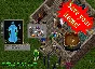 Ultima online - Olmer online "Insurance sertificate"