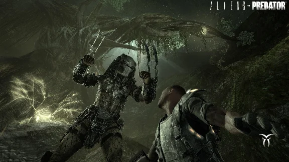Aliens vs Predator Collection (Steam key) -- RU