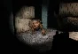 STALKER Shadow of Chernobyl (🔑/GOG.COM/ 🌐Region Free)