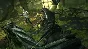 Dishonored - The Brigmore Witches (Steam key) -- RU