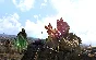 Arma 3 Marksmen DLC  + gift (Steam Key/Region Free)