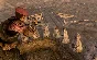 Fallout New Vegas Ultimate Edition (STEAM KEY)+BONUS