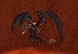 Mottled Drake Mottled horse dragon