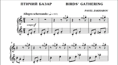 1с11 Птичий базар, ПАВЕЛ ЗАХАРОВ / фортепиано