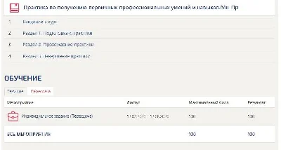 Практика Синергия Менеджмент (Предпринимательство)