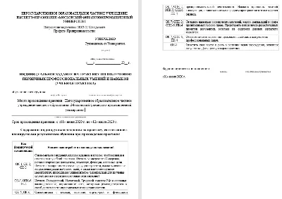 Практика Синергия Менеджмент (Предпринимательство)