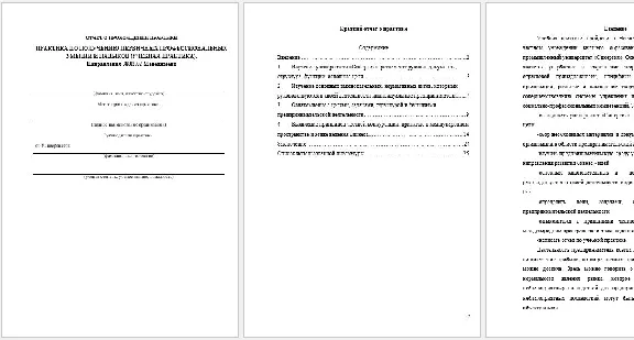 Практика Синергия Менеджмент (Предпринимательство)