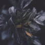 🔥Filmix.co аккаунт PRO+ (120-220дней)
