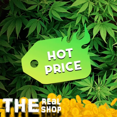 FOOTBALL MANAGER 2019 | ОФФЛАЙН АКТИВАЦИЯ | STEAM ✅