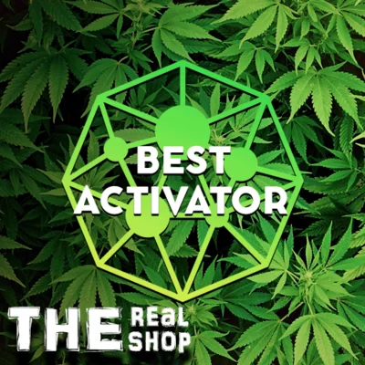 Surviving Mars | ОФФЛАЙН | АВТО АКТИВАЦИЯ | STEAM ✅