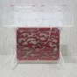 layout (drawing) formicarium with a large arena
