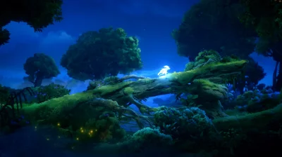 ⚡️Ori and the Will of the Wisps | АВТО | Steam Россия