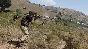 Arma 3 Tac-Ops Mission Pack 🔑STEAM КЛЮЧ🔥РФ+МИР