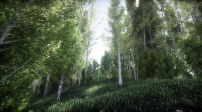 Berries Challenge (Steam key/Region free)