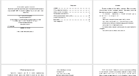 Primary Skills Practice. Synergy Report