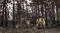 SPINTIRES - Chernobyl Bundle🔑STEAM KEY 🌎GLOBAL
