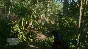 Crysis Remastered (RU/ENG) (Offline Actovation)