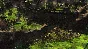 Kingdom Wars 2: Definitive Edition 💎STEAM KEY GLOBAL