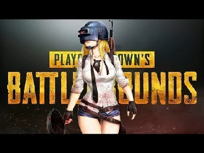 PUBG   LiTE    ( PC )  Accounts