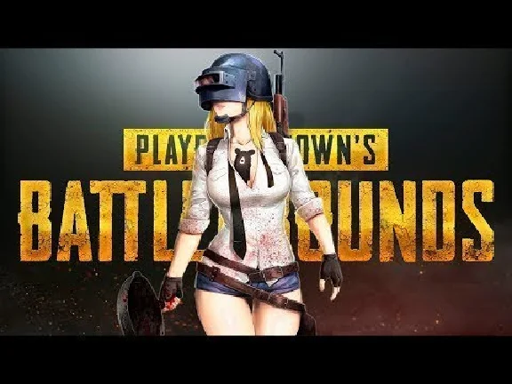 PUBG   LiTE    ( PC )  Accounts