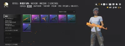 PUBG   LiTE    ( PC )  Accounts