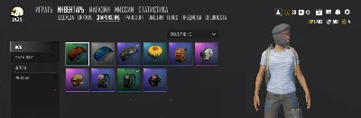 PUBG   LiTE    ( PC )  Accounts