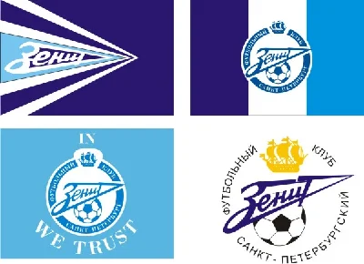 Zenit football club vector