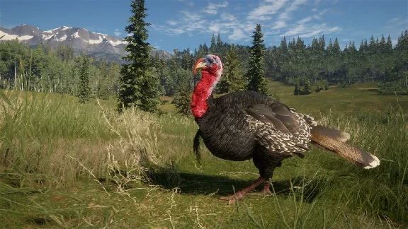 theHunter Call of the Wild - 2021 Edition Xbox one