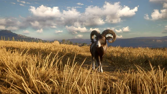 theHunter Call of the Wild - 2021 Edition Xbox one