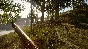 theHunter Call of the Wild - 2021 Edition Xbox one