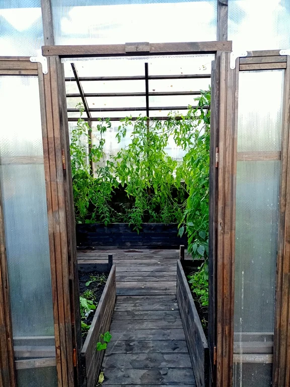 greenhouse in the English style